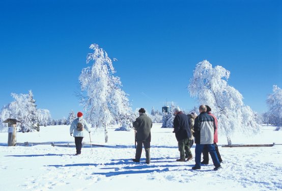 Sauerland Kahlen Asten1 Sauerland Kahlen Asten1